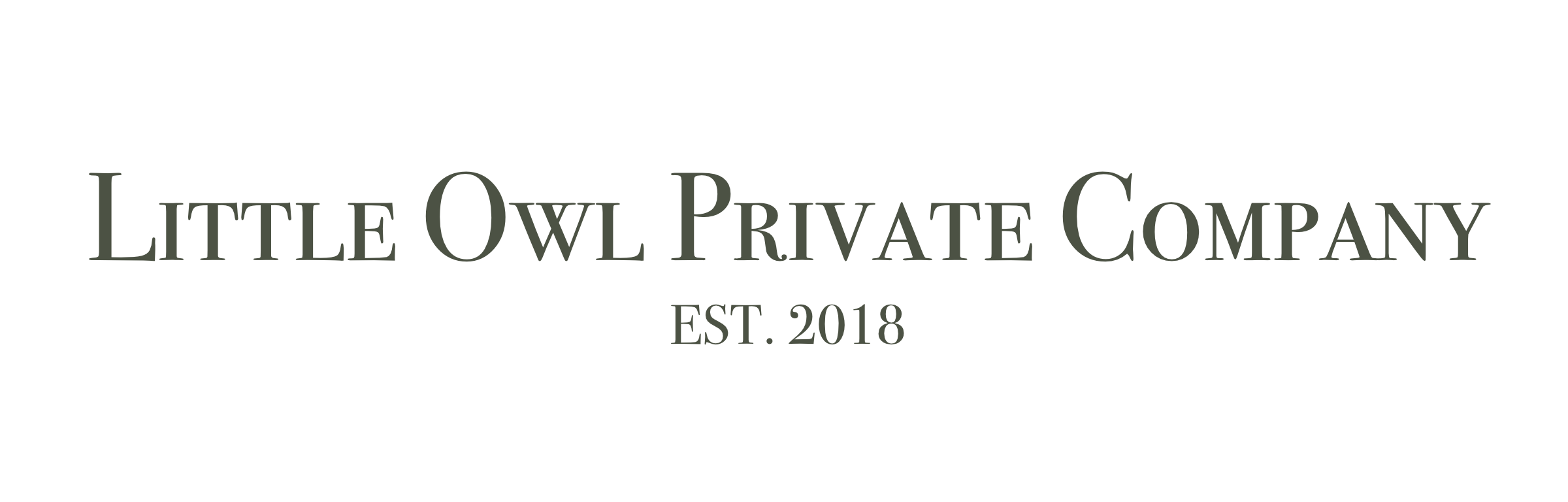Little Owl Private Company